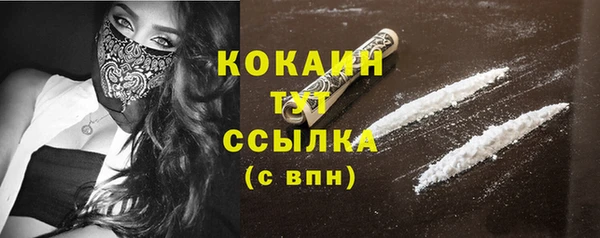 ГАЛЛЮЦИНОГЕННЫЕ ГРИБЫ Аркадак