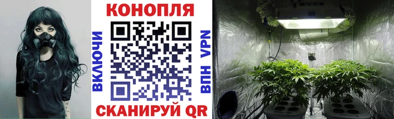 Конопля SATIVA & INDICA  ОМГ ОМГ зеркало  Чусовой 